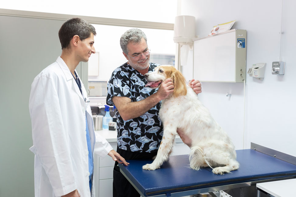 Investigación Sarcoma Canino