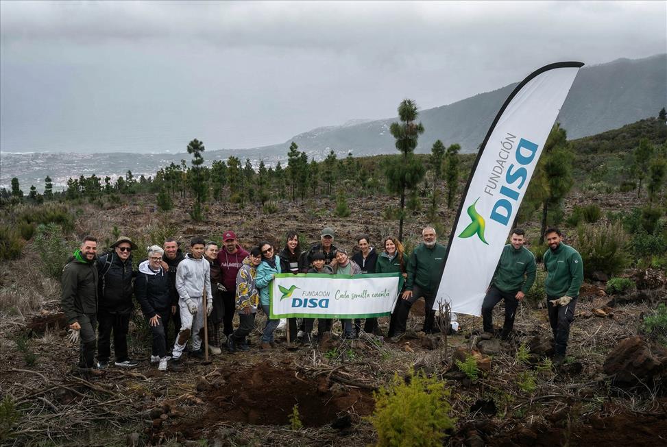 Fundacio´nDISA_REFORESTA_Tenerife_7marzo2026_BAJA_res_63.jpeg